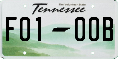 TN license plate F0100B