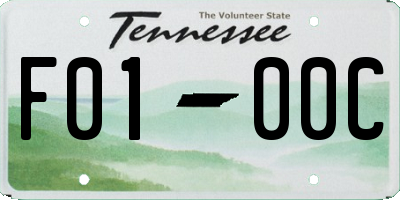 TN license plate F0100C