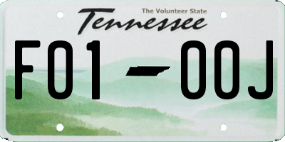 TN license plate F0100J