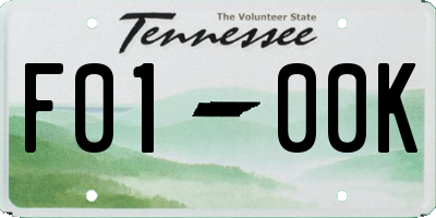 TN license plate F0100K