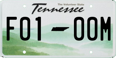 TN license plate F0100M