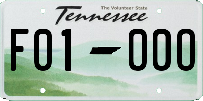 TN license plate F0100O
