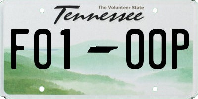 TN license plate F0100P