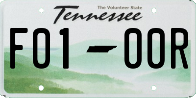 TN license plate F0100R