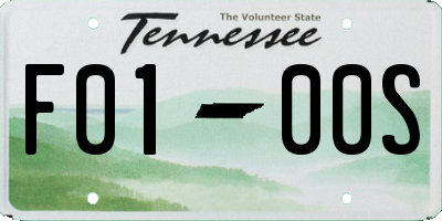 TN license plate F0100S
