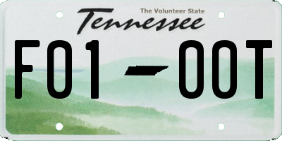TN license plate F0100T