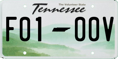 TN license plate F0100V