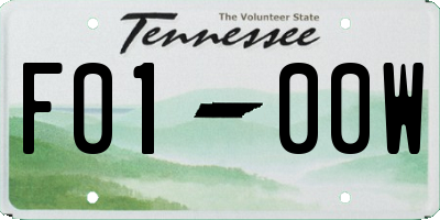 TN license plate F0100W