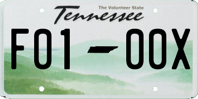 TN license plate F0100X