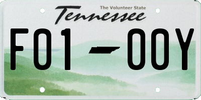TN license plate F0100Y