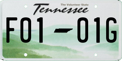 TN license plate F0101G