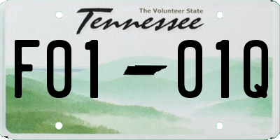 TN license plate F0101Q