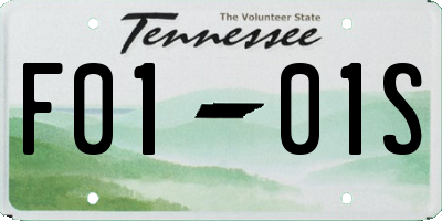 TN license plate F0101S