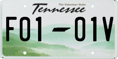 TN license plate F0101V