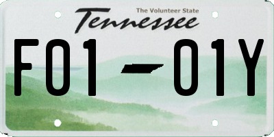 TN license plate F0101Y