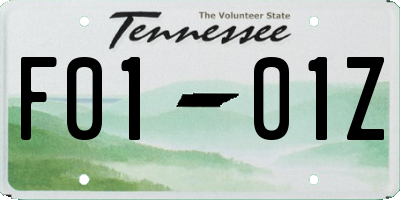 TN license plate F0101Z