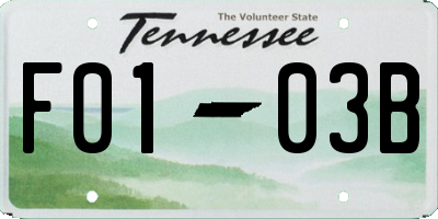 TN license plate F0103B