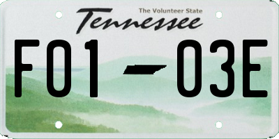TN license plate F0103E