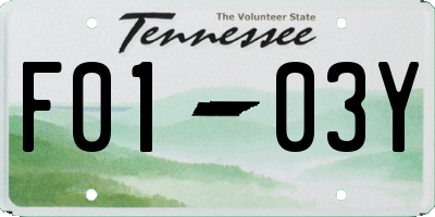 TN license plate F0103Y