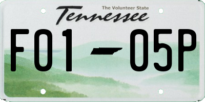 TN license plate F0105P