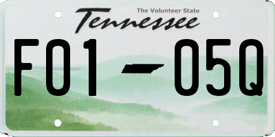 TN license plate F0105Q