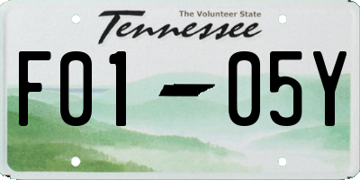 TN license plate F0105Y