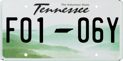 TN license plate F0106Y