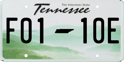TN license plate F0110E