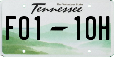 TN license plate F0110H