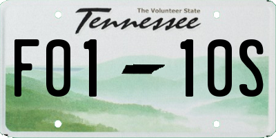 TN license plate F0110S