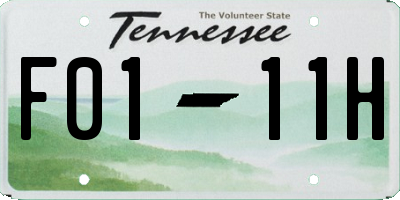 TN license plate F0111H