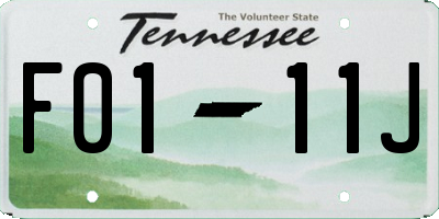 TN license plate F0111J