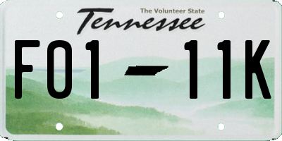 TN license plate F0111K
