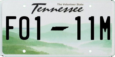 TN license plate F0111M