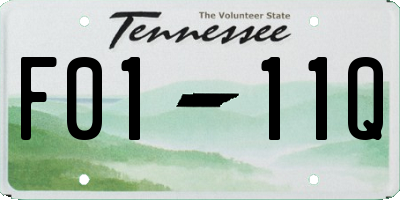 TN license plate F0111Q