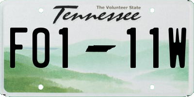 TN license plate F0111W
