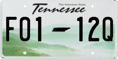 TN license plate F0112Q
