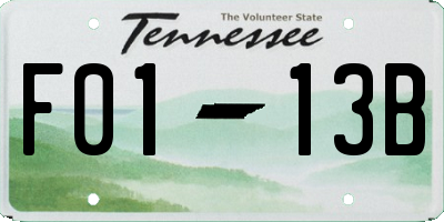 TN license plate F0113B