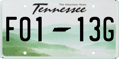TN license plate F0113G