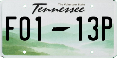 TN license plate F0113P