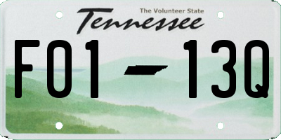 TN license plate F0113Q