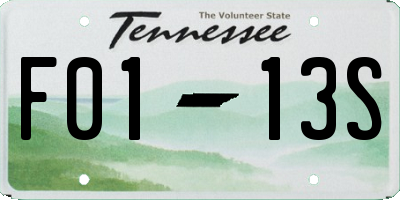 TN license plate F0113S