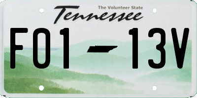 TN license plate F0113V
