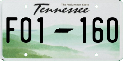 TN license plate F0116O
