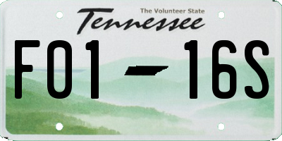 TN license plate F0116S