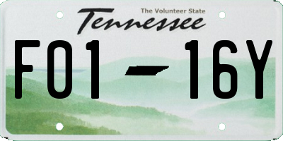 TN license plate F0116Y