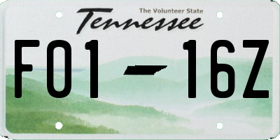 TN license plate F0116Z