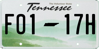 TN license plate F0117H