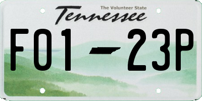 TN license plate F0123P