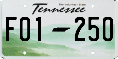 TN license plate F0125O